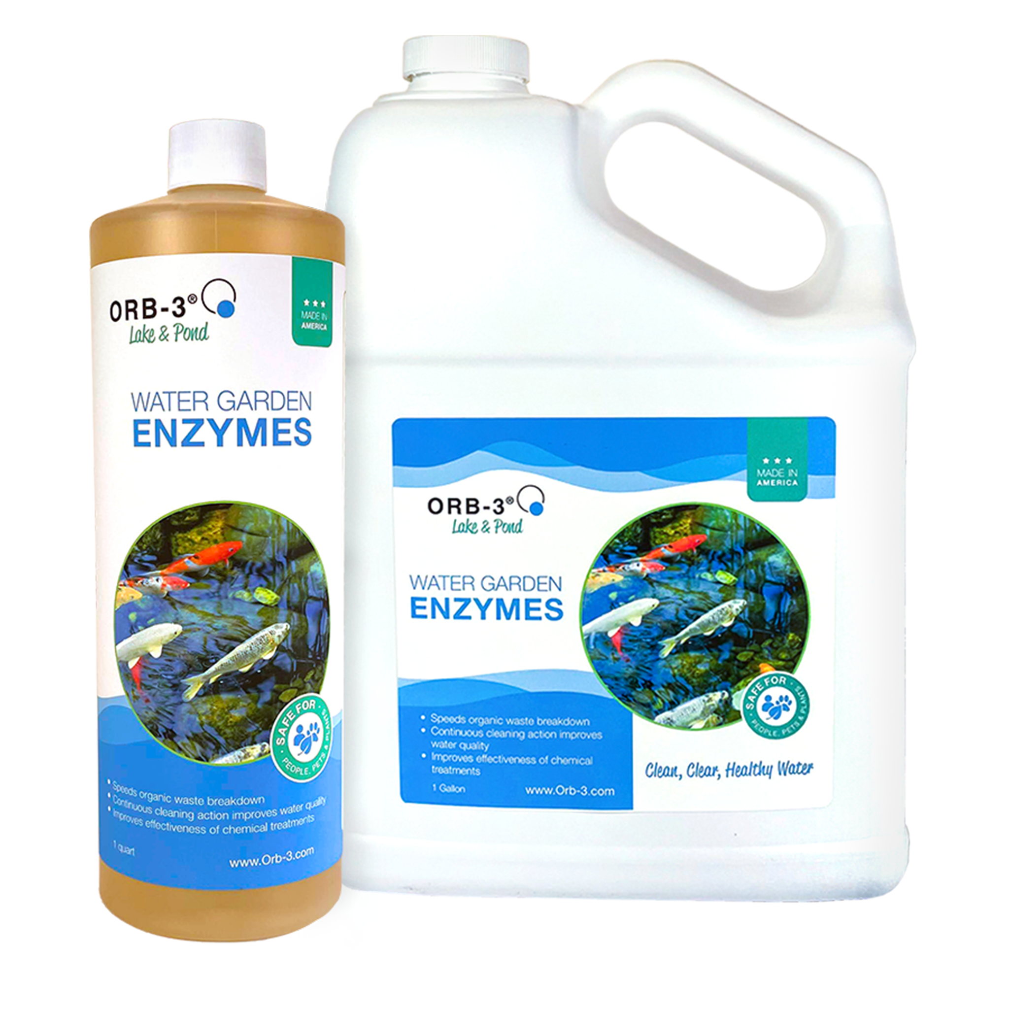 Photo of a quart bottle and 1 gallon of Orb-3 Water Garden Enzymes on white background