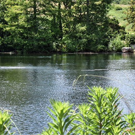 How Do I Figure Out How Much Water Is In My Pond?