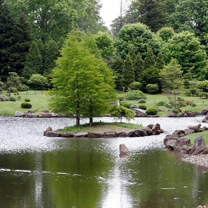Why aerate a pond, best large and small pond aerators